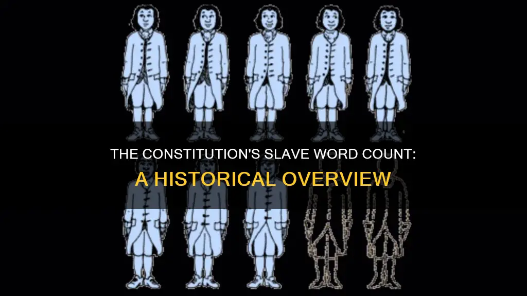 how many times is the word slave in the constitution