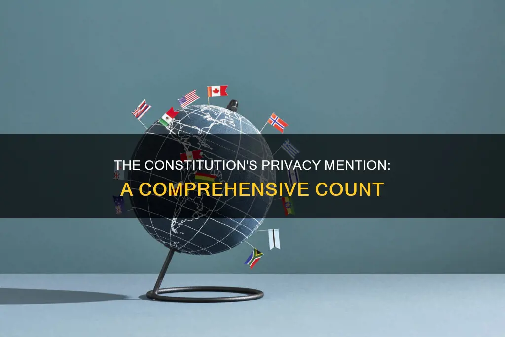 how many times is the work privacyin the constitution