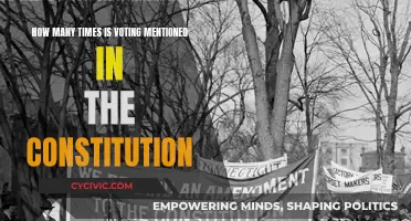 The Constitution's Voting Mentions: A Surprising Number