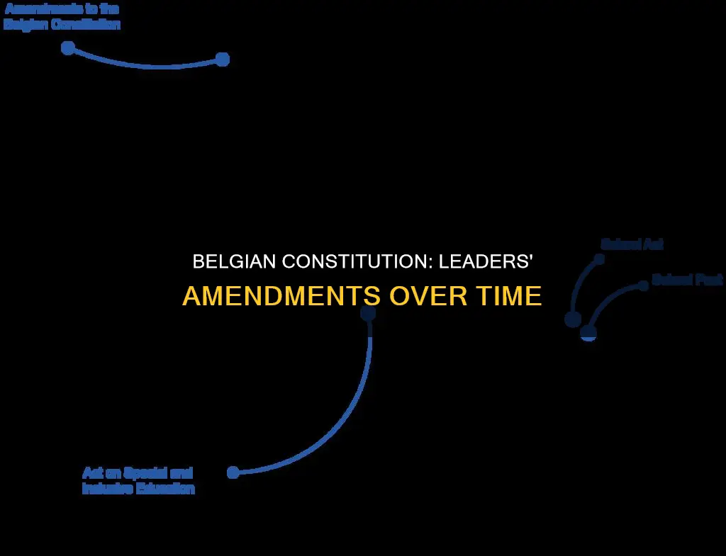 how many times leaders of belgium amended their constitution
