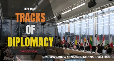 Diplomacy's Many Tracks: Exploring the Complex Web of International Relations