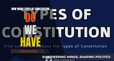Exploring the Diverse Types of Constitutions Globally