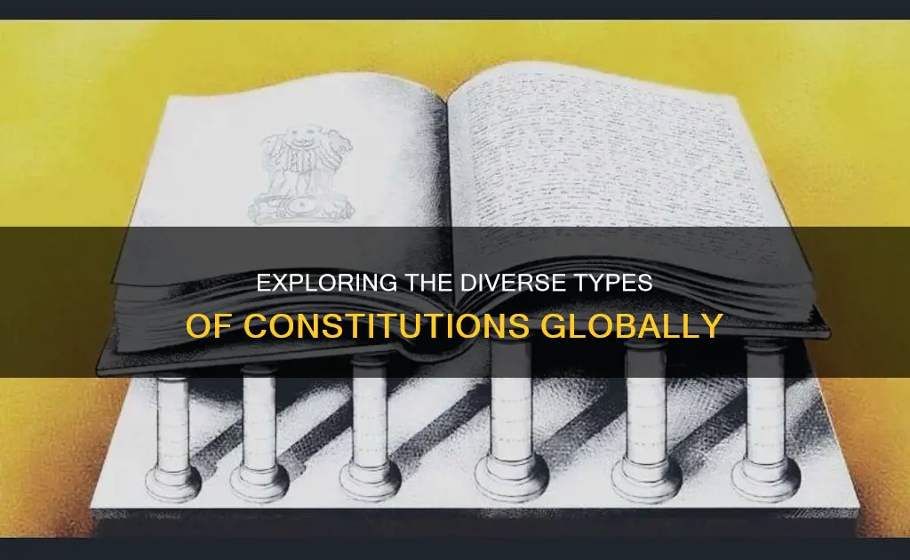 how many types of constitution do we have