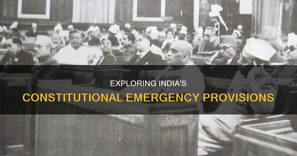 how many types of emergency are there in indian constitution