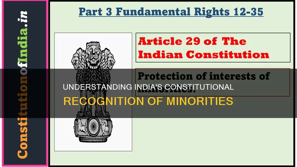 how many types of minorities in indian constitution