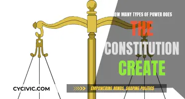 The Constitution's Power Distribution: How Many Types?
