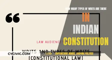Writs in the Indian Constitution: Exploring Their Diversity