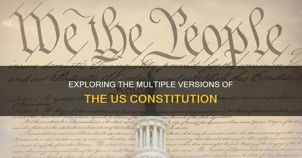 how many versions of the constitution are there