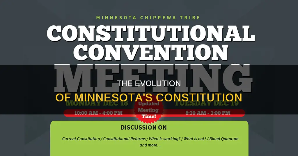 how many versions of the minnesotas constitution was there
