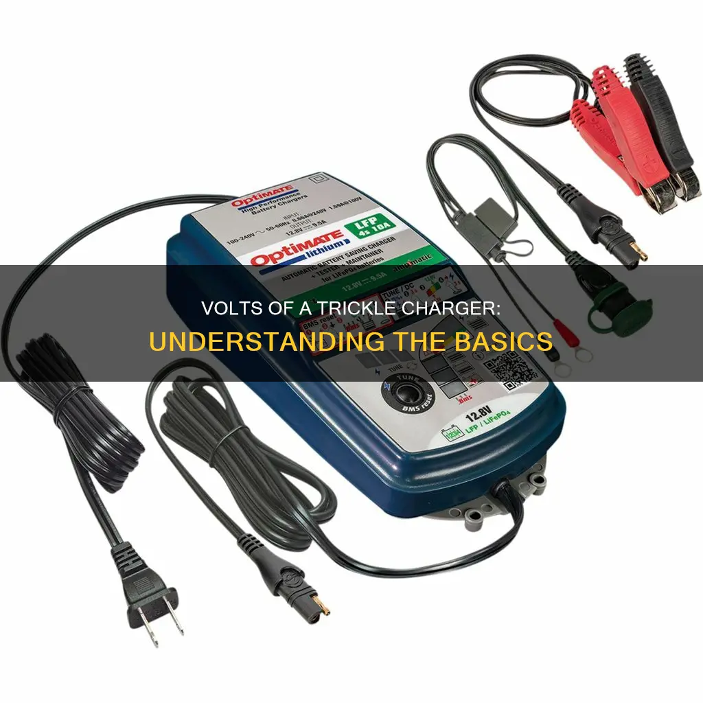 how many volts constitute a trickle charger put out