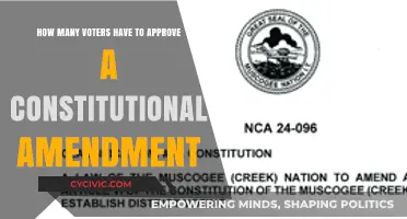 Voter Threshold for Constitutional Amendments