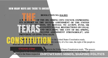 Amending the Texas Constitution: A Multifaceted Approach