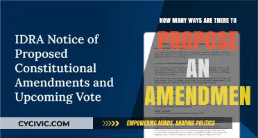 Amending the Constitution: Exploring Various Proposal Avenues