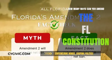 Amending Florida's Constitution: Many Paths, One Destination
