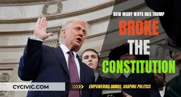 Trump's Constitutional Violations: A Comprehensive Overview