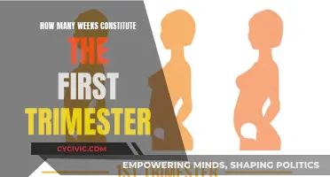The First Trimester: Weeks That Define the Start