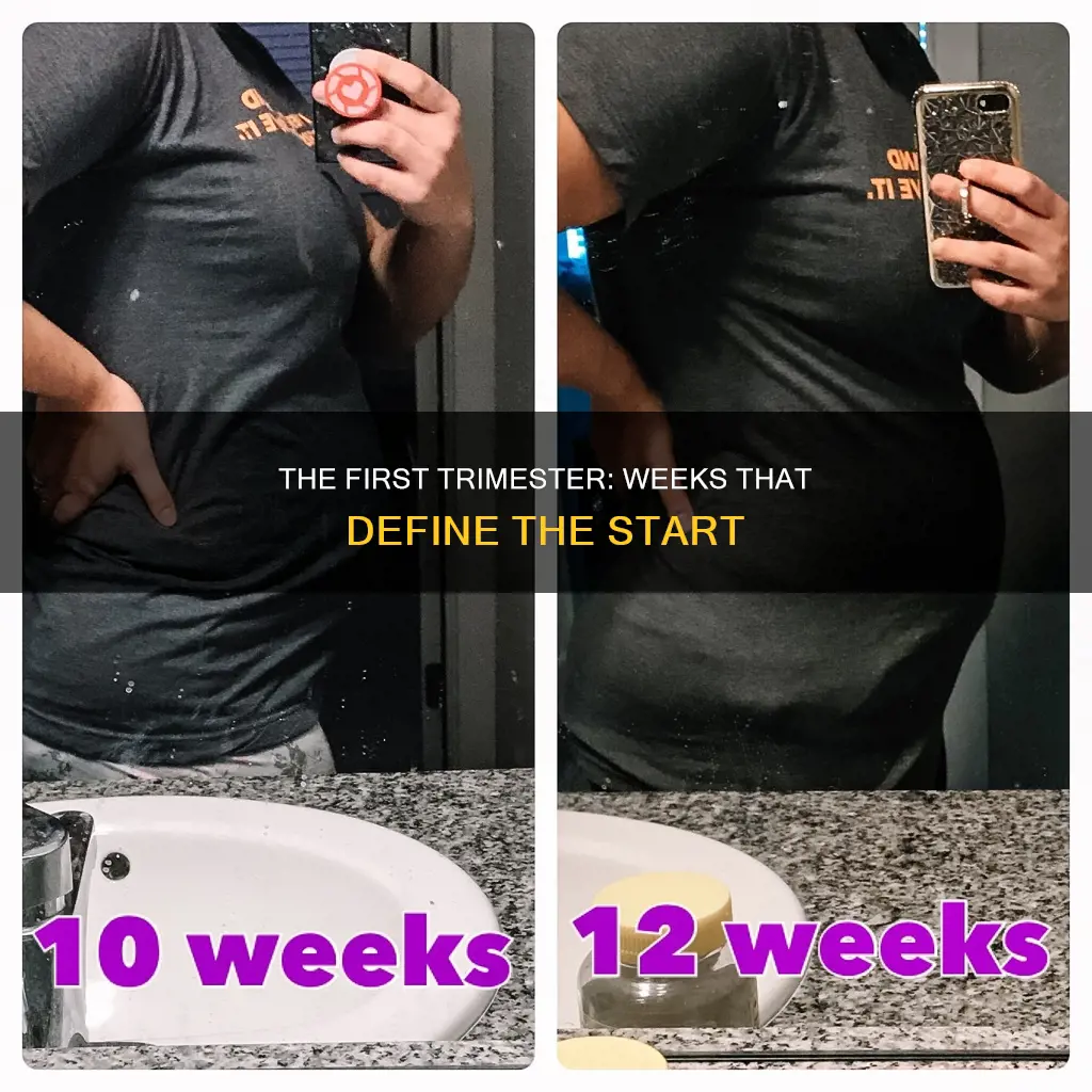 how many weeks constitute the first trimester
