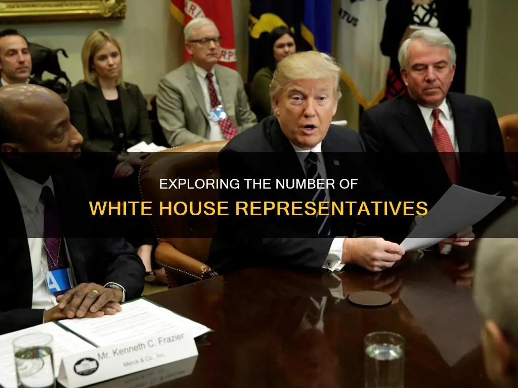 how many white house of representatives are there