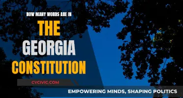 Georgia Constitution: Word Count and Its Significance