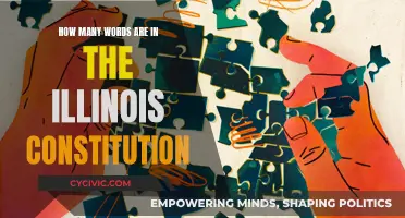 The Illinois Constitution: A Comprehensive Word Count