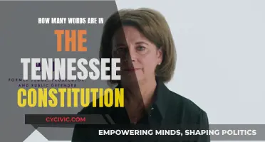 The Tennessee Constitution: A Concise Word Count