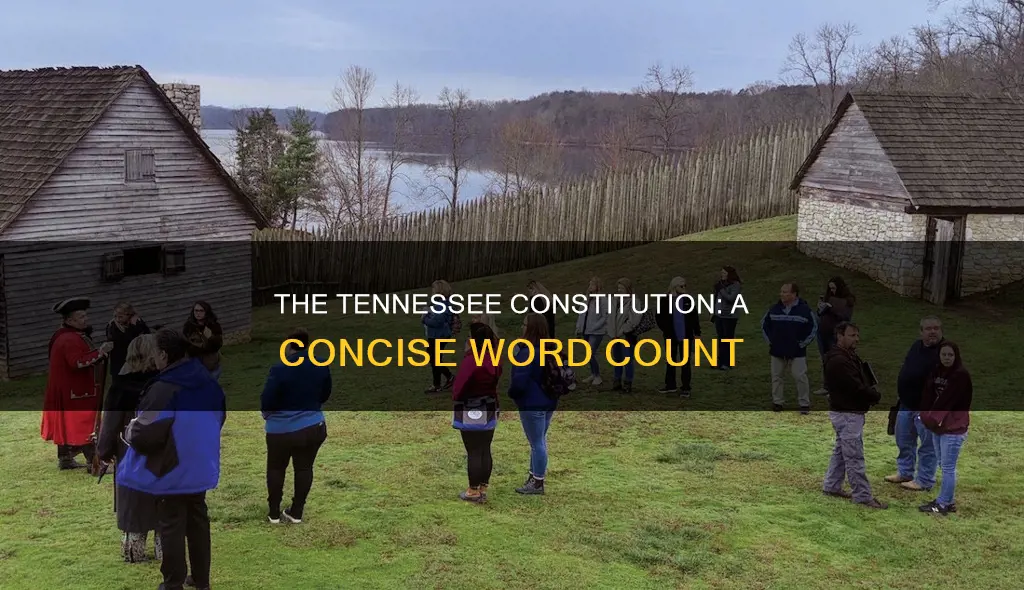 how many words are in the tennessee constitution