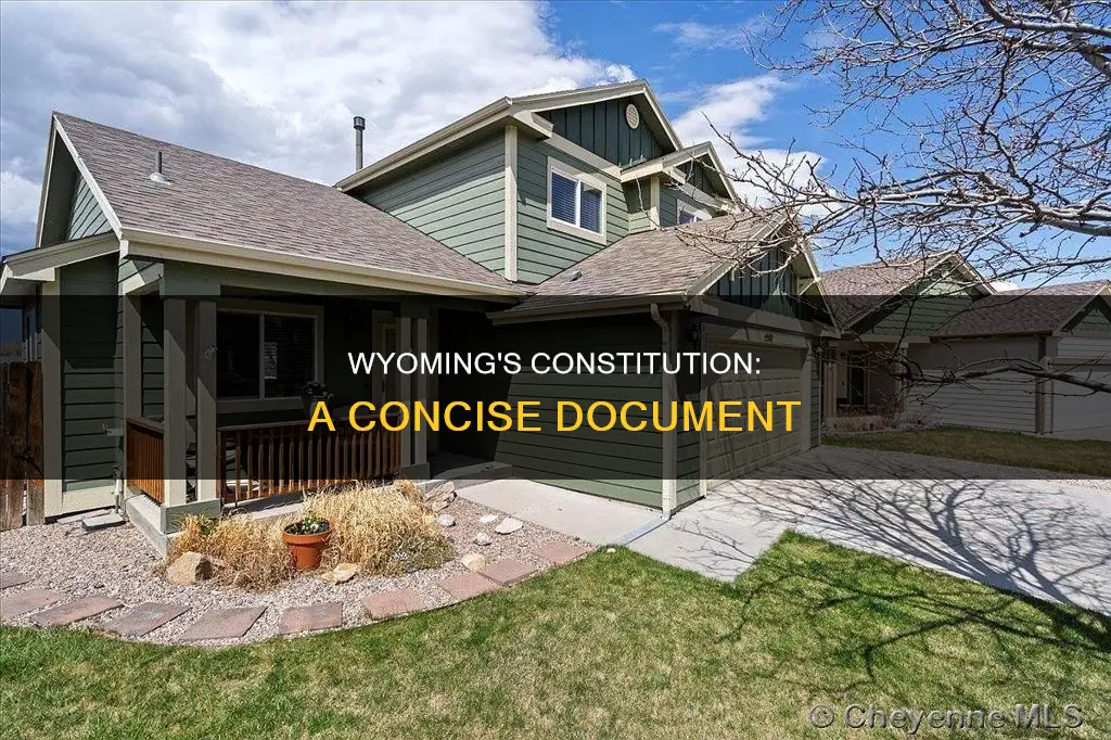 how many words are in the wyoming constitution