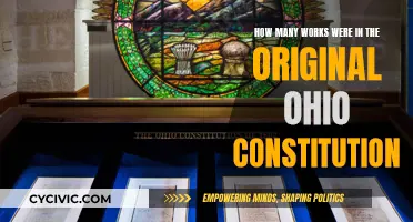 The Ohio Constitution: A Comprehensive Original Work