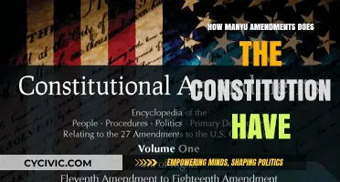 Amendments: The Constitution's Evolution
