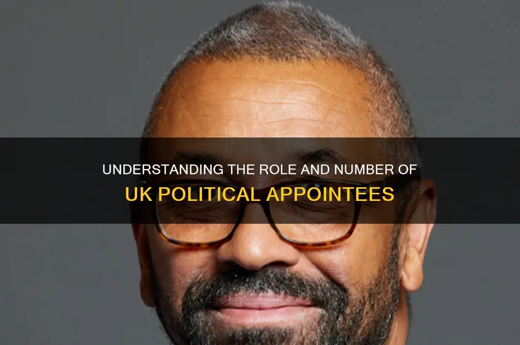 how manyuk political appointees