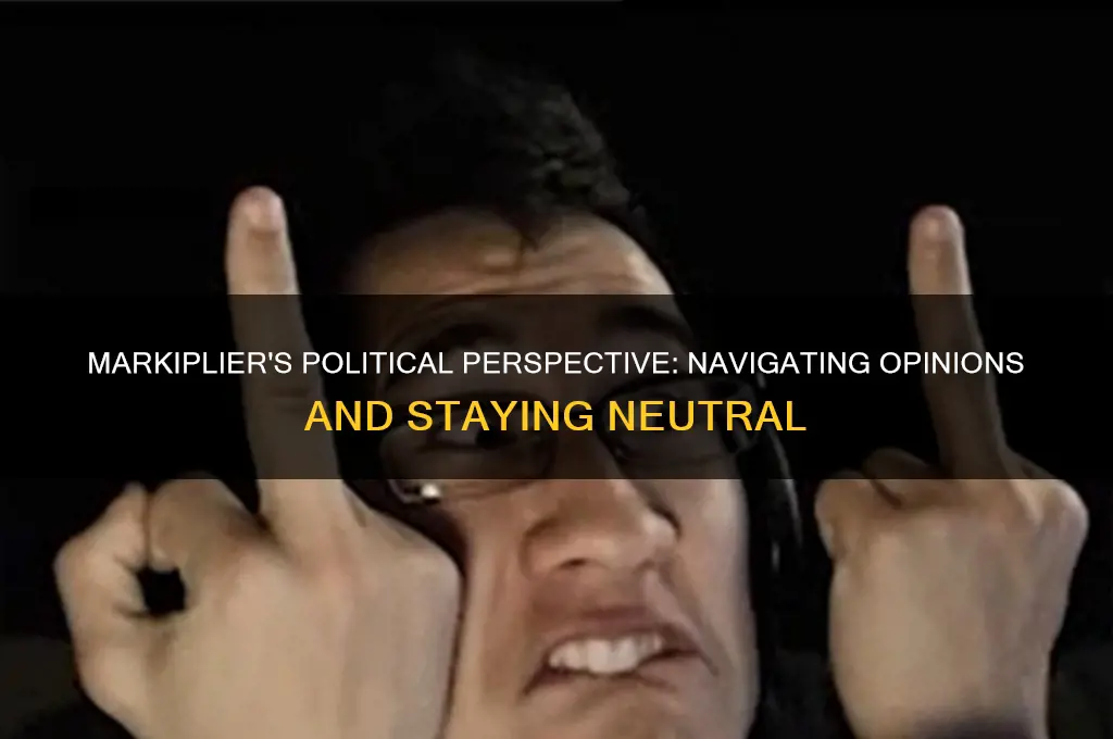 how markiplier feels about politics