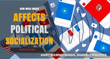 Shaping Minds: The Impact of Mass Media on Political Socialization