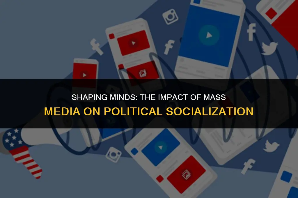 how mass media affects political socialization