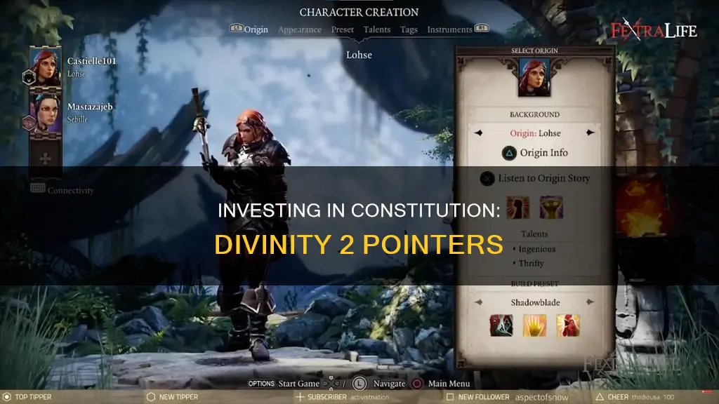 how may points to invest in constitution divnity 2