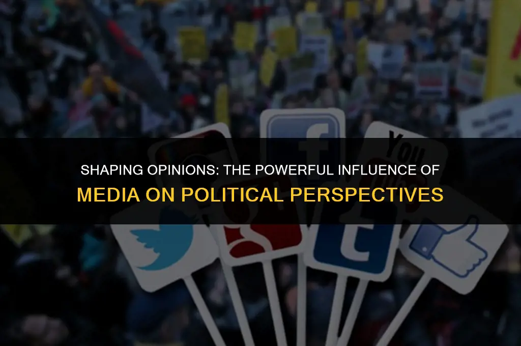 how media affects political views