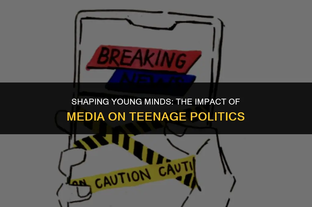 how media affects teenage political