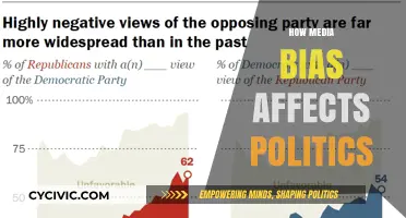 Shaping Politics: The Impact of Media Bias on Public Perception