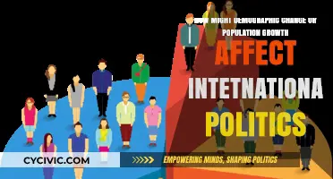 Shifting Global Dynamics: Demographic Changes and International Politics