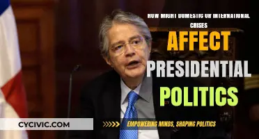 Navigating Turbulent Times: Crises and Presidential Politics