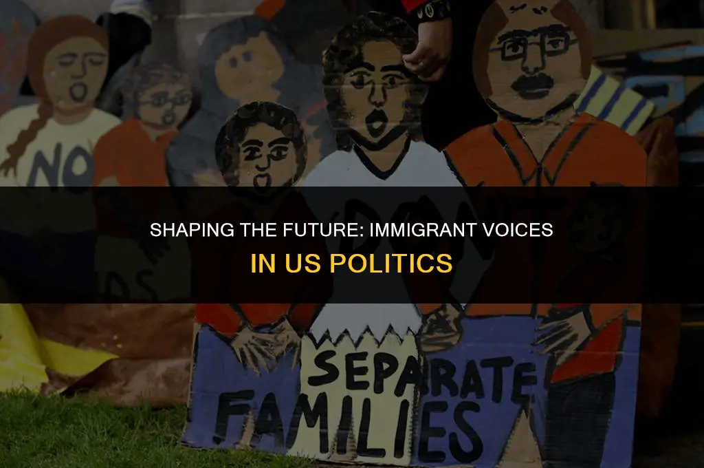 how might immigrants affect the us politics