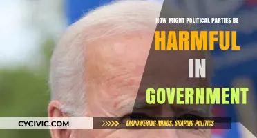 Political Parties: Divisive Forces Undermining Unity and Effective Governance?