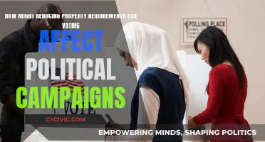 Voting Access Expansion: Political Campaign Strategy Adaptation