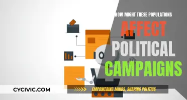 Voter Populations: Political Campaigns' Strategies and Successes