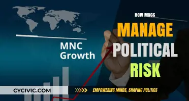 Navigating Global Politics: Strategies for MNCs to Mitigate Political Risk