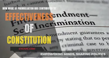 Promulgation Methods: Effective Constitution Building