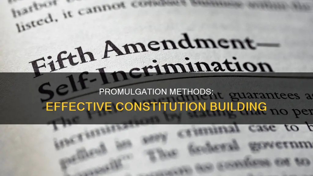 how mode of promulgation has contributed to effectiveness of constitution