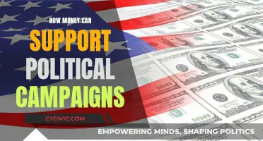 Money's Role in Politics: Funding Campaigns and Influencing Elections