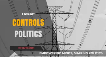 Money's Grip: How Wealth Dictates Political Power and Decisions