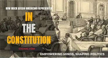 African Americans in the Constitution: Representation and Rights