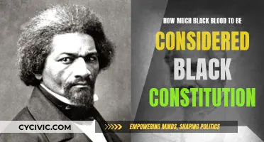 Understanding Racial Identity: Black Blood and Heritage